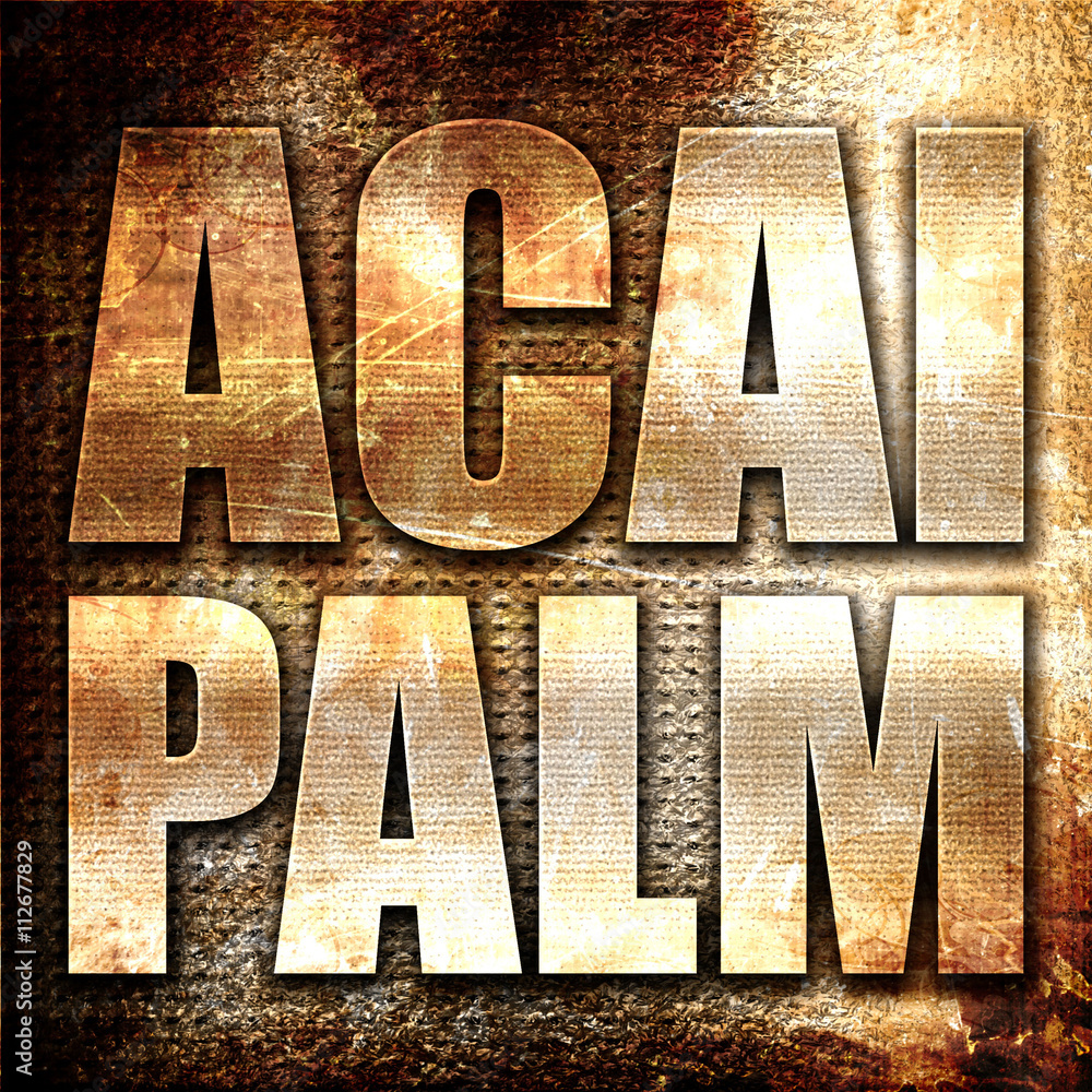 Poster acai palm, 3d rendering, metal text on rust background