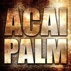 acai palm, 3D rendering, metal text on rust background