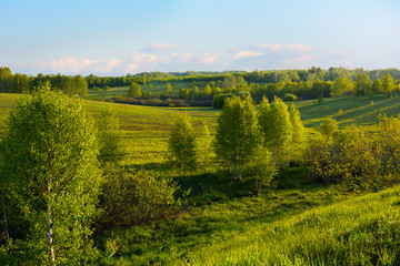 Beautiful hills landscape