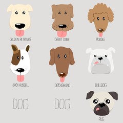 dog type cartoon illustration