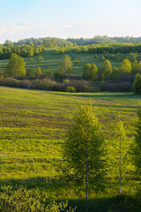 Beautiful hills landscape, vertical