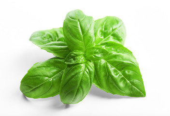 Fresh basil leaves on white background