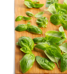 Fresh basil leaves on wooden  board