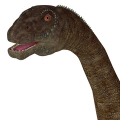 Malawisaurus Dinosaur Head - Malawisaurus was a herbivore sauropod dinosaur that lived in Africa during the Cretaceous Period. © Catmando