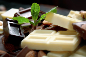Chocolate pieces with mint leaves, background