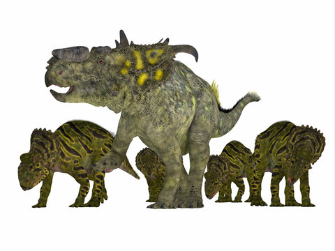 Pachyrhinosaurus Dinosaur with Young - Pachyrhinosaurus was a ceratopsian herbivorous dinosaur that lived in the Cretaceous Period of Alberta, Canada.