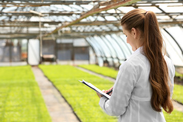 Obraz na płótnie Canvas Female farmer working in large greenhouse