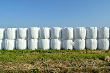 White straw roll in a row