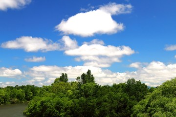 Fototapeta na wymiar 雲と川と林