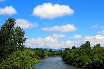 Fototapeta na wymiar 雲と川と林