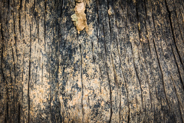 close up of old wood texture background