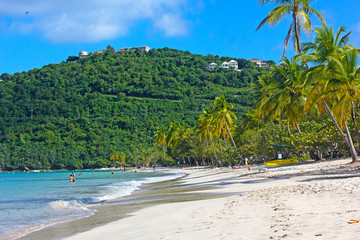 Sandy beach on a tropical island in the morning. Magens Bay with gentle waves and magnificient palms on St Thomas, US Virgin Islands.