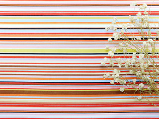 space background decorate with dried flower