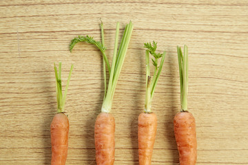 Vegetable, fresh carrots