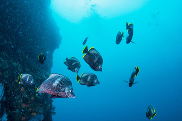 Fototapety na wymiar - Fototapeta24.pl