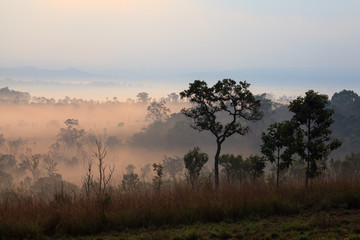 Fototapeta na wymiar Misty morning sunrise at Thung Salang Luang National Park Phetch