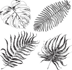 Vector set with tropical exotic leafes