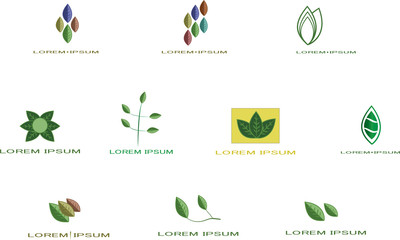Corporate Leaf Logo set