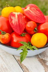 Tomatoes with green leaves in metal bowl in garden on sunny day