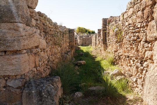 Ruins of the Royal Palace of Ugarit