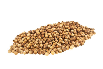 Coriander seeds isolated on white background