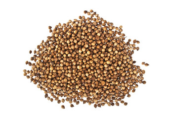 Coriander seeds isolated on white background