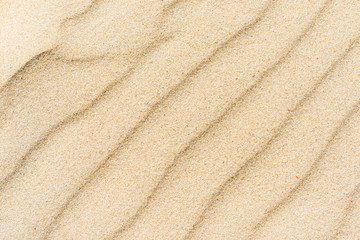 Fototapeta na wymiar sand in nature as a background