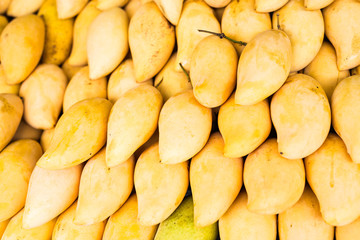 Fresh yellow mango