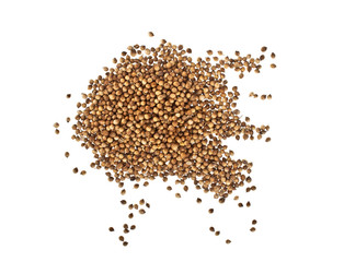 Coriander seeds isolated on white background