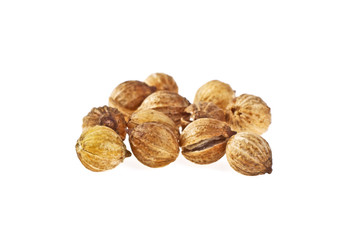 Coriander seeds isolated on white background