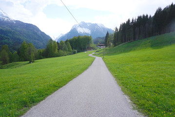 Road leading to the woodland