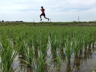 Man running besides rice paddy field