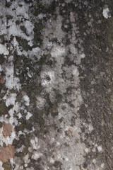 texture of ancient stone