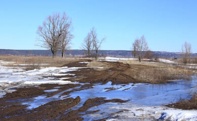 Early spring in the field