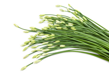 garlic chive isolated on white background