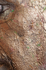 man - clay head