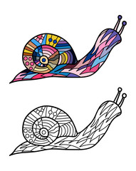 Colorful snail and snail in black and white for coloring book. Pattern in doodle style. Vector illustration