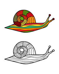 Colorful snail and snail in black and white for coloring book. Pattern in doodle style. Vector illustration
