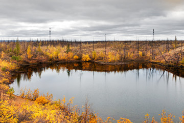 Lake in tundra in the Taimyr Peninsula