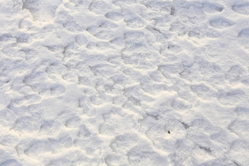 texture of the snow
