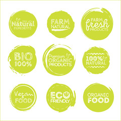 Green Eco Food Labels. Health Headings. Vector Illustration Collection