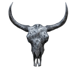  Iron Cow skull isolated on the white background