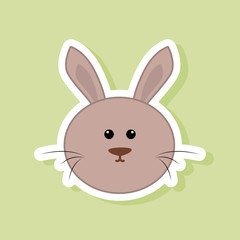 Cute rabbit Face