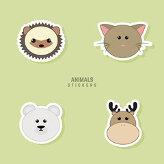 Cute Animals Faces