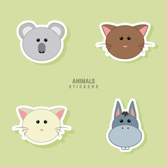 Cute Animals Faces
