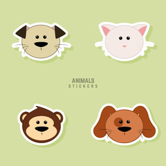 Cute Animals Faces