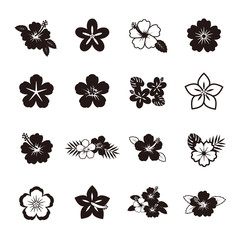 ハイビスカス　アイコン © Raura