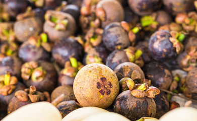 Fresh mangosteen for sale at an outdoor market.