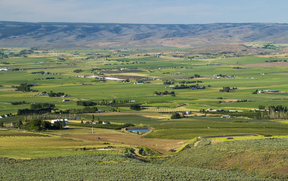 Ellensburg fields, Yakima County, State Washington 