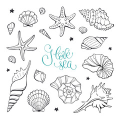 Hand drawn sea shells and stars collection. Marine illustration for coloring books. Shellfish outlines isolated on white background.